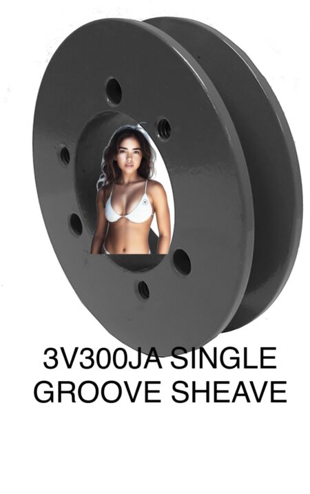3V300JA Single Groove Sheave